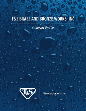 T&S Company Profile